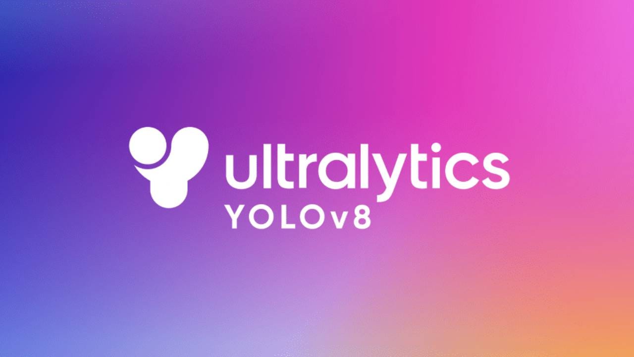 YOLO
